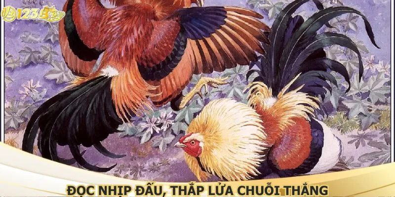 Đọc nhịp đấu, thắp lửa chuỗi thắng